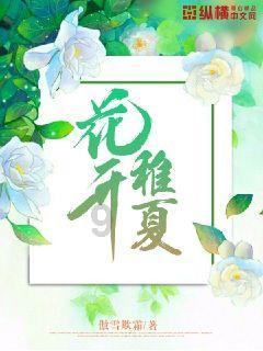 全民烧脑3去广告版