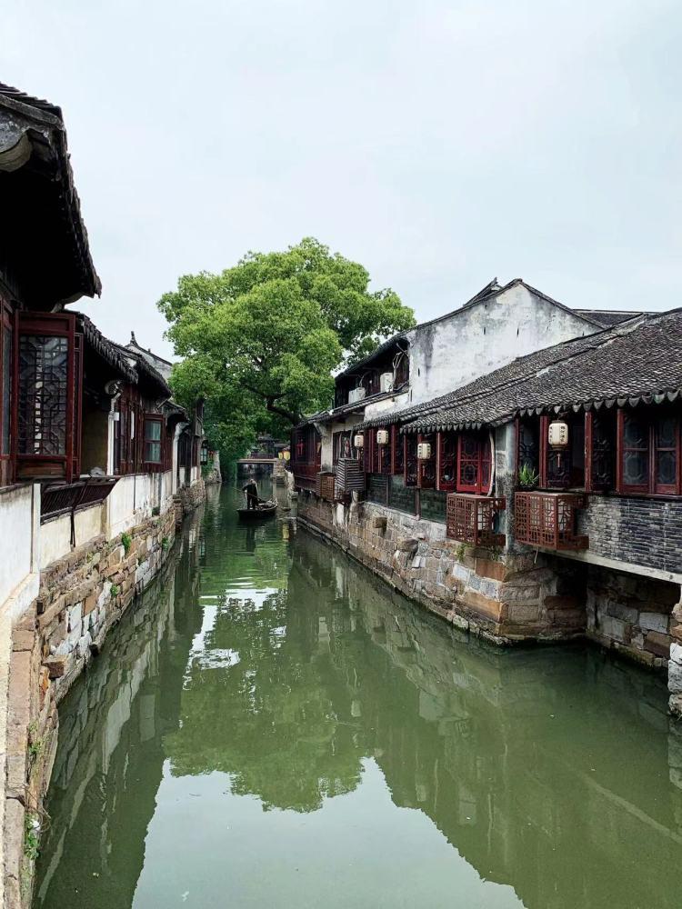 山东违章查询在线查询官网-一站式有问必答平台